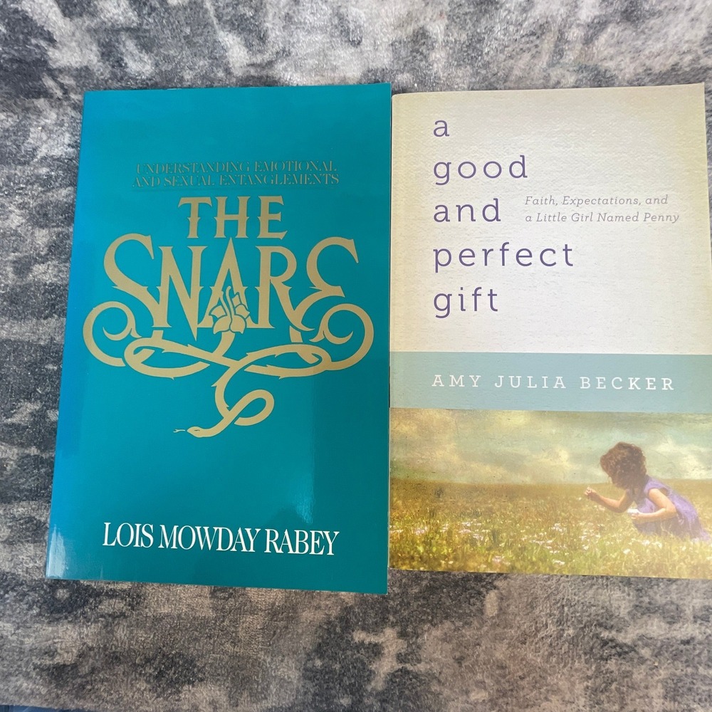 Christian Life & Relationship Book Lot Amy Julia Becker‎ Lois Mowday Rabey 2pk